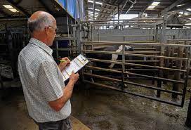 NCVTC Diploma in Veterinary Livestock Inspector